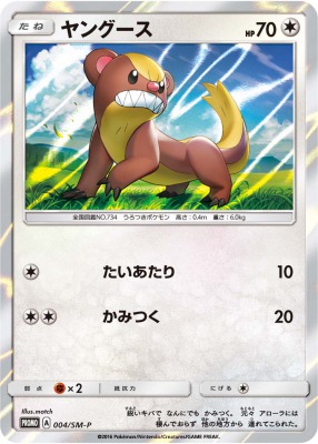 スペシャルセット「ヤングース」 プロモ