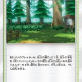 トキワの森