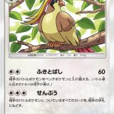ピジョット
