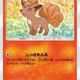 ロコン
