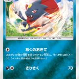 マニューラ あくのおきて