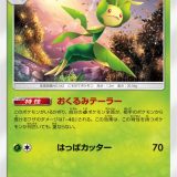 ハハコモリ