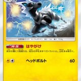 ゼブライカ