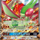 フライゴンGX